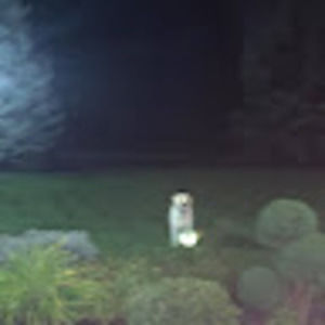 Meet your Posher, Austin